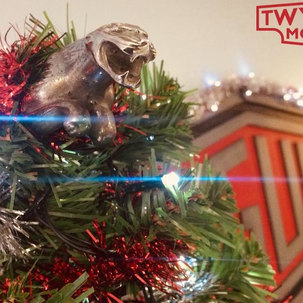 Merry Christmas from everyone at Twyford Moors