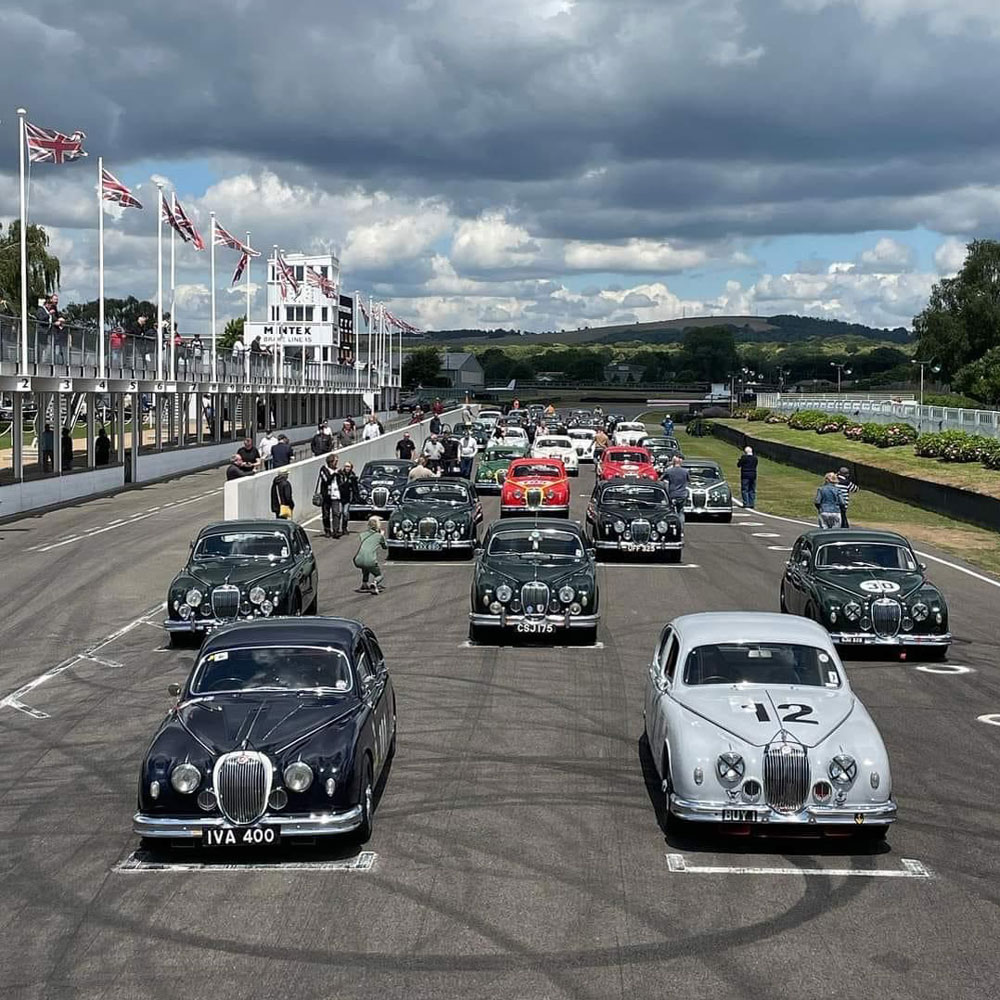 Jaguar MK1 grid at Goodwood