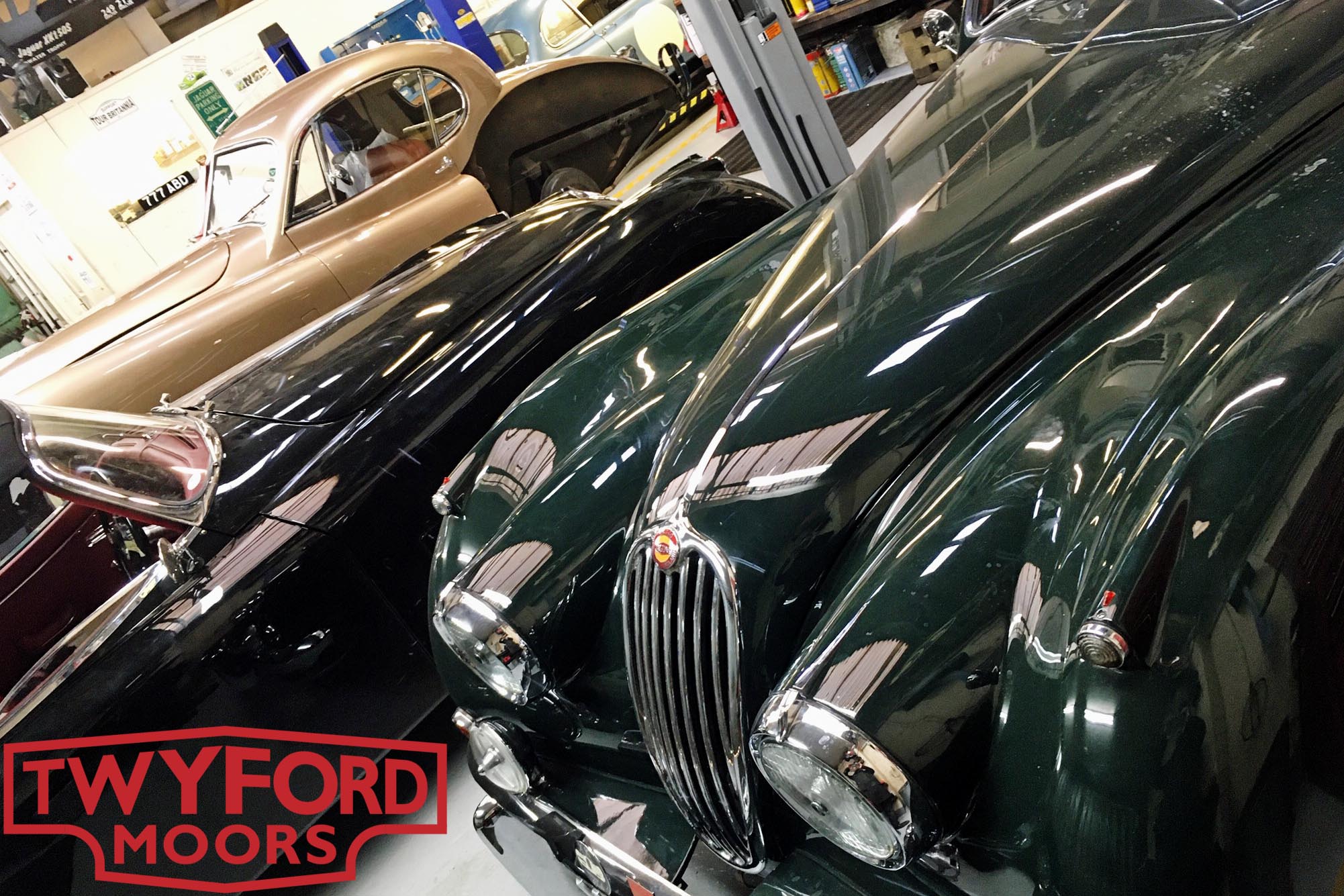 Jaguars in Hampshire classic car workshop