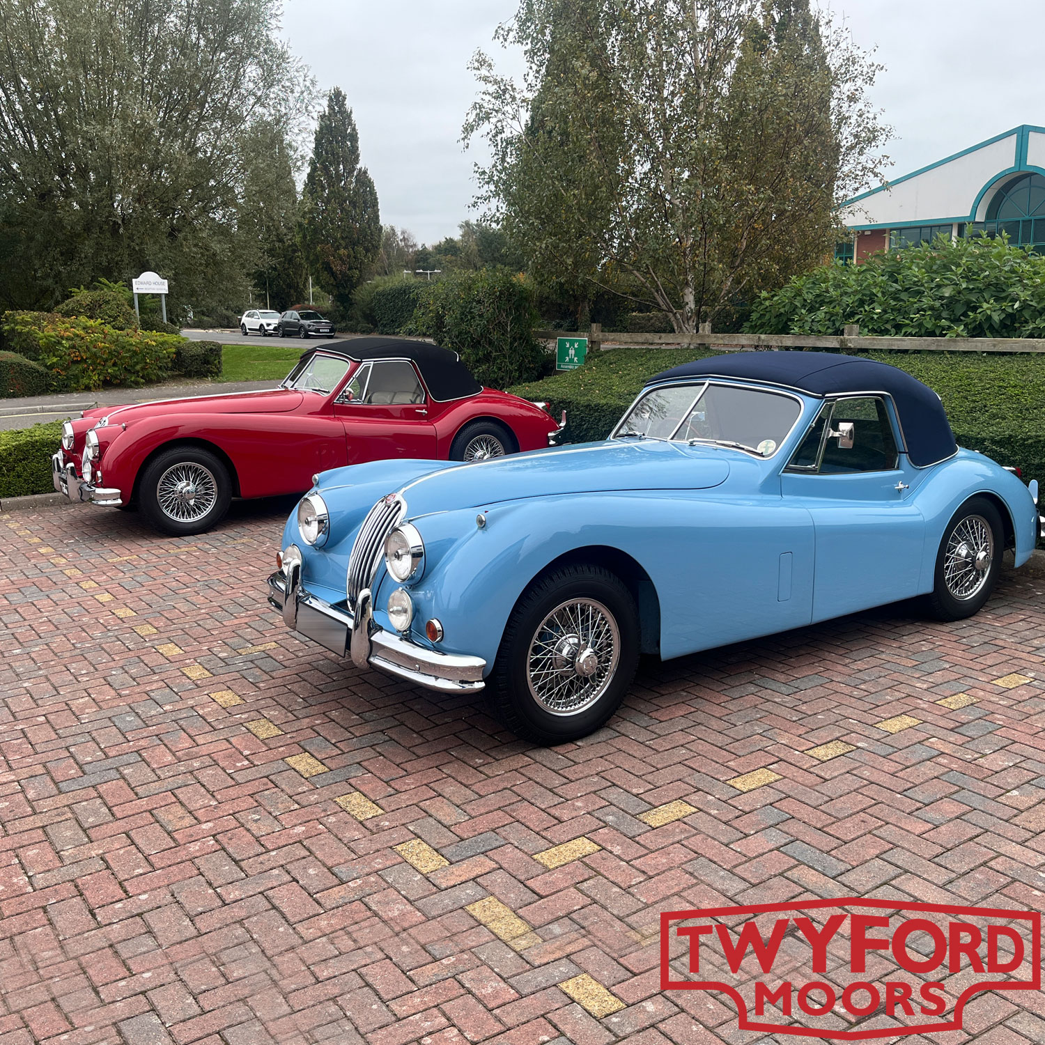 Jaguar XK140 in red and blue